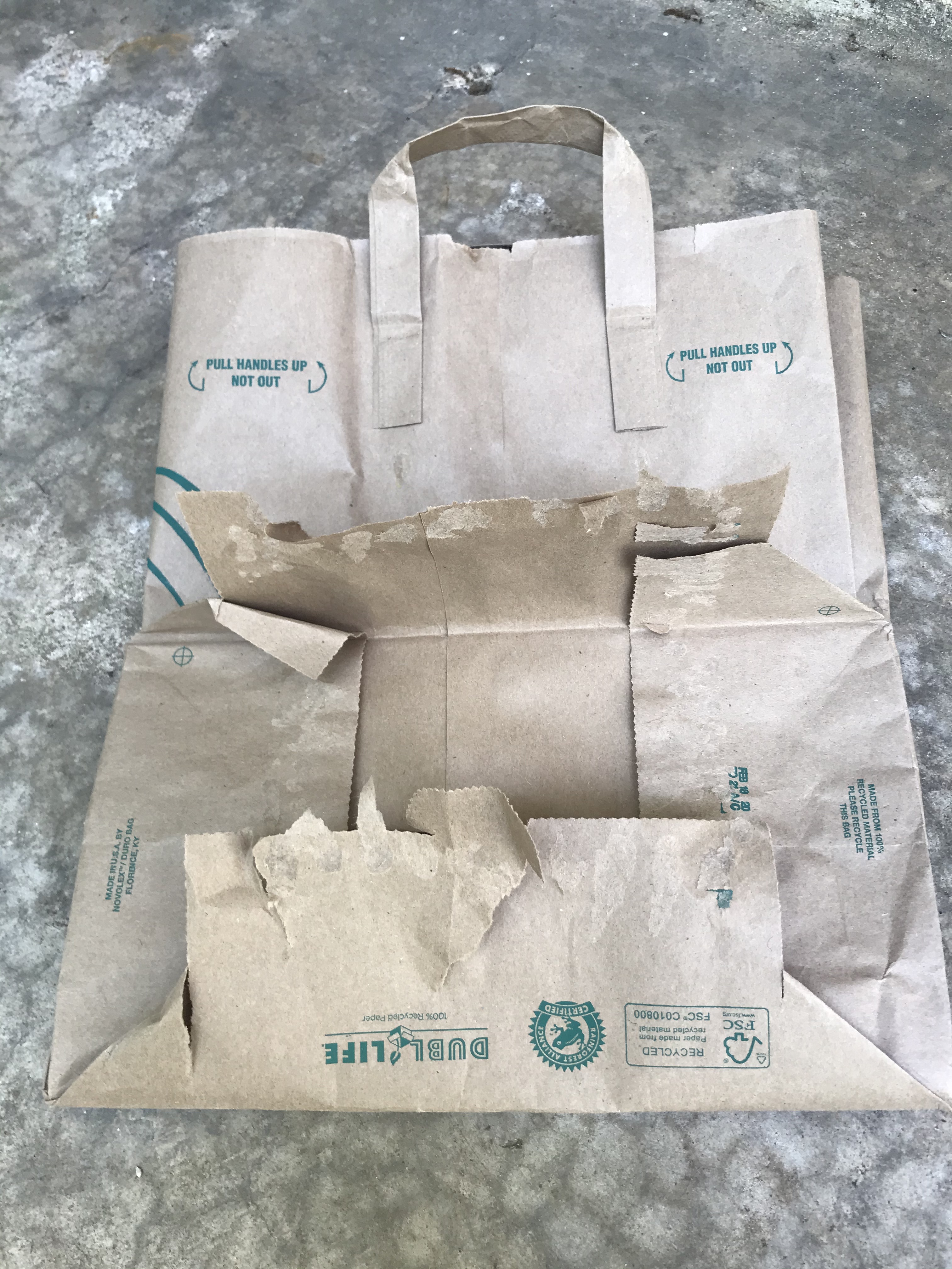 Paper Carry Bags: Paper Twist, Rope, Flat Handle | PaperPak